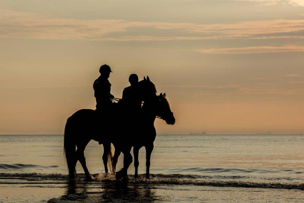 Hoekje Up Katwijk aan Zee Exteriér fotografie