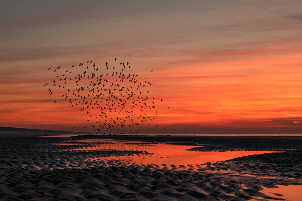 Hoekje Up Katwijk aan Zee Exteriér fotografie