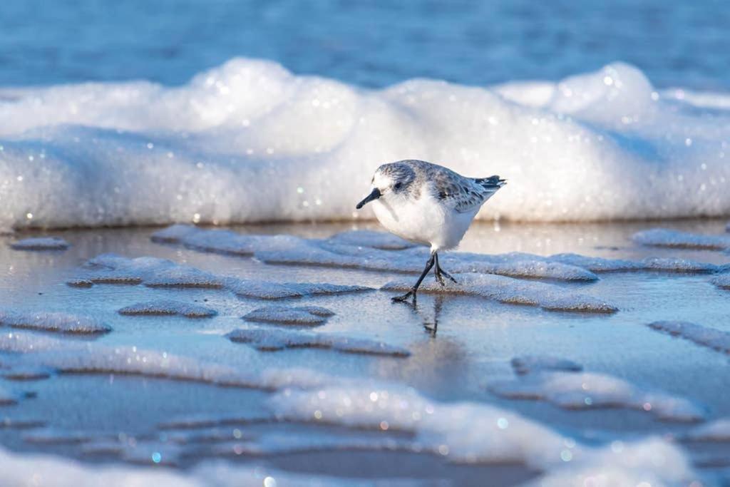Hoekje Up Katwijk aan Zee Exteriér fotografie